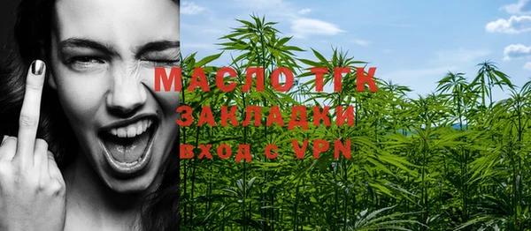 дмт Бородино