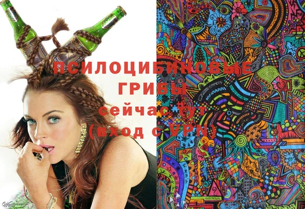 синтетический гашиш Богородск