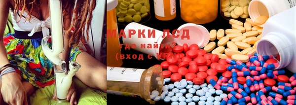 дмт Бородино