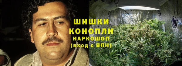 mix Богородицк