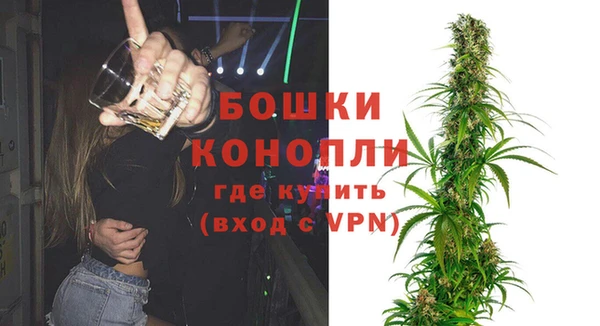 дмт Бородино