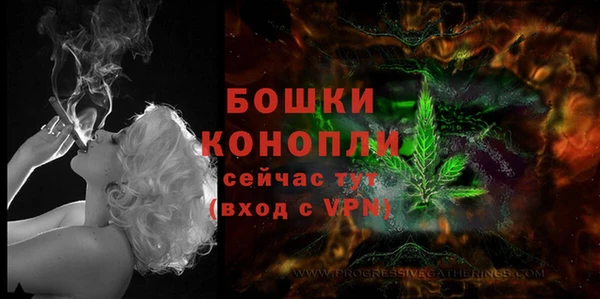 дмт Бородино