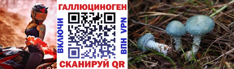 Псилоцибиновые грибы Psilocybine cubensis  хочу наркоту  Дно 